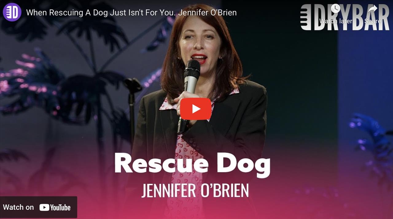 <p>When rescuing a dog just isn&#39;t for you, you might end up doing what Jennifer O&#39;Brien did in this clip from her first ever Dry Bar Comedy special. In this clip Jennifer talks about her experience of rescuing a dog and how difficult the entire process was. Whether you&#39;re someone who purchased an expensive hypoallergenic dog, or you&#39;re just someone looking for a rescue this clip from Jennifer O&#39;Brien is sure to be enlightening from start to finish.</p>
