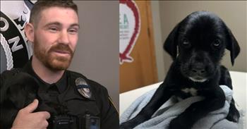 <p>An officer showed kindness and love to a puppy thrown from a vehicle, giving the animal a forever home. A law enforcement official helped an injured animal by getting the pup immediate medical attention and later a forever home. Watch the short video to hear how an officer of the law showed love to one of God&rsquo;s furry, four-legged creatures.</p>

<p>Animals deserve a healthy amount of love, care, kindness and respect. After all, they were put on Earth by the same God who gave you and me life and placed the sun, moon and stars in their positions. Anyone who would intentionally hurt or mistreat a poor, defenseless animal is doing so to one of God&rsquo;s creatures.</p>

<p>When thinking about animals unable to protect or fend for themselves, it doesn&rsquo;t get much more helpless than a kitten or a puppy. That&rsquo;s why it&rsquo;s always maddening and infuriating whenever we hear of someone abusing a cat or a dog. <a href="https://www.youtube.com/watch?v=c2u6XeCRDu4">A clip posted on YouTube</a> tells of a puppy who was discarded like a piece of trash. However, the pup, who had a rough start, eventually found a loving forever home.</p>

<p>As the clip mentions, Texas police Brennan Johnson responded to a call about animal cruelty. He learned, after responding to the animal hospital in Dennison, Texas, that a small, defenseless puppy had been thrown from a vehicle.</p>

<p>Brennan, being the kind-hearted person he is, paid for the animal&rsquo;s medical bills. However, he initially feared the worst, thinking the puppy would lose the use of its back legs because of its horrific ordeal. Luckily, upon closer examination, the animal only suffered a break to one of its hind legs, forcing the animal to sport a cast.&nbsp;</p>

<p>But shelling out for the pup&rsquo;s medical expenses was the only kindness Brennan showed the injured pup. He also took her in, giving her the loving and caring forever home the animal rightly deserves.</p>

<p><em><strong><a href="https://www.godtube.com/bible/proverbs/12-10">Proverbs 12:10</a></strong> &ldquo;An upright man has thought for the life of his beast, but the hearts of evildoers are cruel.&rdquo;</em></p>
