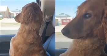 <p>An upset dog&rsquo;s mood instantly changes after it hears one question asked. The animal was clearly thoroughly upset, but it did not take much for the canine to come around and become much more pleasant and open to hearing what its owner had to say. Watch the video to see how hilariously fast the dog&rsquo;s mood changed.</p>

<p>Animals are extraordinary creatures that deserve love, care and attention. The same God who created them also placed the sun, moon and stars in their locations and gave you and me life. Like people, no two animals are the same. As every pet owner will agree, every animal has its own personality, likes, dislikes, tastes and preferences.</p>

<p>Understanding that each animal is different, their reactions to situations and environments will also vary. For instance, <a href="https://www.youtube.com/watch?v=wkF3T2a7thk">a video posted on YouTube</a> shows how one canine reacted to a trip to the groomer. The animal was not pleased with the experience.</p>

<p>Hilariously, the animal expressed its displeasure after going to the groomer. The dog refused to give its owner any attention. Despite the owner&rsquo;s repeated attempts to get the canine to acknowledge her, the animal would not give in, choosing to look forward or out the passenger window.</p>

<p>The woman explains that the dog reacts this way every time after a trip to the groomer. Even when the woman compliments the dog on its new look, the animal will not make eye contact with her.</p>

<p>Luckily, she knows exactly what to say to capture the dog&rsquo;s attention and focus. All she must do is ask the animal one simple but fundamental question.</p>

<p>&ldquo;You want to go get a treat?&rdquo; she asks the dog.</p>

<p>Hysterically, that question is enough to cause the animal to break its no-eye-contact stance. After a few moments, the dog turns and fixes its eyes on the woman. All seems to be forgiven.</p>

<p><em><strong><a href="https://www.godtube.com/bible/genesis/1-21">Genesis 1:21</a></strong> &ldquo;And God created great whales, and every living creature that moves, which the waters brought forth abundantly, after their kind, and every winged fowl after his kind: and God saw that it was good.&rdquo;</em></p>
