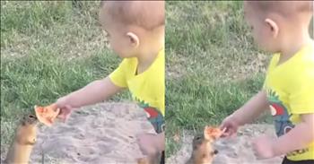 <p>An adorable toddler melts hearts by sharing his pizza with a squirrel. The youngster made a very unexpected friend by deploying a tasty, time-tested method. Watch the short clip for the sweet, heartwarming moment when the two bonded over the delicious food.</p>

<p>No two people are exactly 100 percent alike. Everyone is different, with their own unique set of likes, dislikes, tastes and preferences. Arguably, these differences are most readily visible when it comes to food. Tastes vary wildly among people. For instance, some may find guacamole and avocados delicious, while others may feel as if they are the scourge of the earth and cannot understand how any human being could ingest something so revolting.</p>

<p>Despite all our differences and peculiarities regarding food, there is one universally loved dish: pizza. Whether you are a vegan, a vegetarian, a meat eater or have some food allergy, there is a pizza that is sure to satisfy your appetite and diet.</p>

<p><a href="https://www.youtube.com/shorts/zdNj8SnLOOI">A cute, touching clip posted on social media</a> shows that the love of pizza apparently extends beyond human beings. Even some members of the animal community seem to understand and enjoy the deliciousness that is pizza.</p>

<p>The clip shows a young man, a toddler, who has just encountered a squirrel. The youngster, who was able to get shockingly close to the squirrel, carries with him a couple of slices of pizza, one of which he extends out toward the tiny animal.</p>

<p>Initially, the squirrel starts to dart away but seems to rethink this decision, apparently intrigued by what the young man is offering it. Eventually, the squirrel allows the child to get close enough to it to the point where he actually places the pizza in the squirrel&rsquo;s tiny paws. Once the squirrel has secured the pizza, it darts away to enjoy its meal.</p>

<p>See, you can become friends with anyone, even wild animals. It just requires a little pizza.</p>

<p><em><strong><a href="https://www.godtube.com/bible/proverbs/12-10">Proverbs 12:10</a></strong> &ldquo;An upright man has thought for the life of his beast, but the hearts of evildoers are cruel.&rdquo;</em></p>
