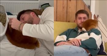 <p>A rabbit has formed the sweetest friendship with a woman&rsquo;s boyfriend. Their obvious bond and their closeness will likely be the cutest thing you will see today. Check out the short clip to see how and why the rabbit connected with her owner&rsquo;s boyfriend.</p>

<p>Animals are extraordinary creatures placed on Earth by the same God who gave you and me life. Because they are part of His creation, those cute, furry, four-legged critters deserve love, care and respect. Most people, even those who don&rsquo;t currently have a pet, have a special place in their hearts for animals.</p>

<p>As every pet owner knows, whether the animal is a dog, cat, bird or mouse, they seem to gravitate toward one person. Yes, when treated correctly and with love and care, animals will respond accordingly. However, they will typically have one person that they favor over everyone else. Those critters will spend most of their time with or by that individual.</p>

<p><a href="https://www.youtube.com/watch?v=ycc5V6dRITk">A clip posted on YouTube</a> shows how a rabbit, Maple, most certainly has a favorite person. The adorable creature's actions make its preference for the young man apparent to everyone.<br />
The young woman narrating the video states what the animal will do whenever it is near her boyfriend.</p>

<p>&ldquo;As soon as she sees Alex, she just rolls over onto her back with happiness,&rdquo; she said. &ldquo;She kind of likes to jump all over him, no matter where he is. My boyfriend&rsquo;s definitely her favorite 100 percent.&rdquo;</p>

<p>It&rsquo;s clear from their many interactions that the feelings between the two do not just go one way. They are reciprocated. The young man is seen playing with, feeding and letting the animal climb all over him.</p>

<p>However, the animal&rsquo;s choice of preferred person is odd, considering, as the video mentions, Alex was apprehensive and a bit unsure about getting a rabbit. But that didn&rsquo;t last long.</p>

<p>&ldquo;After the first week, they were inseparable,&rdquo; the woman says.</p>

<p><em><strong><a href="https://www.godtube.com/bible/genesis/1-21">Genesis 1:21</a></strong> &ldquo;And God created great whales, and every living creature that moves, which the waters brought forth abundantly, after their kind, and every winged fowl after his kind: and God saw that it was good.&rdquo;</em></p>
