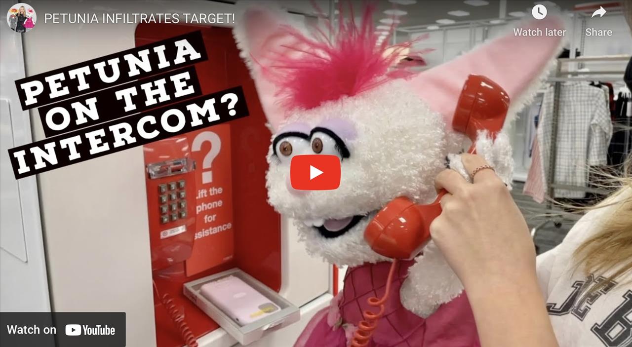 <p>Petunia and I had a ridiculously good time at one of our favorite places - Target!</p>

