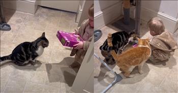 <p>A child&rsquo;s sweet effort to feed the cats doesn&rsquo;t go as planned. The young man understood that the felines were out of food and tried to fulfill their need, but he encountered a problem. Watch the video to see the little guy try to help the cats, but his effort falls just a little short.</p>

<p>Most people adore animals. Even individuals who do not currently have pets still love and appreciate those cute, furry, four-legged creatures. They are loving, loyal and dependable, making for some of the best friends you&rsquo;ve ever had. How could you not love them?</p>

<p>While animals are great and a joy, they can also be a lot of work. Every animal, regardless of its size, requires several things. They need and deserve plenty of attention, some more than others. Someone will also have to clean up after the animal regularly. Finally, they will need to be fed consistently.</p>

<p>In a <a href="https://www.youtube.com/shorts/CgR055CrKE8">clip posted on YouTube</a>, a young man is trying to be helpful and fulfill one of the animals' necessary, basic needs. The video begins with the 14-month-old having noticed the empty food bowls and approaching the cabinet where the cats&rsquo; food is stored. As the child opens the cabinet and momentarily disappears while searching for the food, the two cats meow and meow, letting the youngster know of their need.</p>

<p>After a few moments, the little guy reappears. He now has the cat food box and begins approaching the cats&rsquo; food bowl. Everything is going according to plan, and things are looking good at this point.</p>

<p>However, the cats are soon disappointed after the child reaches the first food bowl. While the child wants to be helpful and feed his feline pals, he forgets one crucial step: opening the food box before pouring it.</p>

<p>What a cute video of a child who badly wanted to be helpful and feed the cats.</p>

<p><em><strong><a href="https://www.godtube.com/bible/ephesians/6-4">Ephesians 6:4</a></strong> &ldquo;And, you fathers, do not make your children angry: but give them training in the teaching and fear of the Lord.&rdquo;</em></p>
