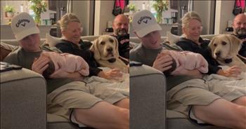<p>This dog can&rsquo;t handle sharing attention with a baby&mdash;and it&rsquo;s absolutely hilarious. The sweet pup obviously does not appreciate the massive recent change in its life, and the animal makes its disapproval clear. Watch the short and hilarious clip to see and hear the canine voice its displeasure at the change.</p>

<p>Parenthood is one of life&rsquo;s biggest and greatest blessings. Mom and Dad are easily the most important titles you&rsquo;ll ever get. Adding a child to your home is unlike anything you&rsquo;ll ever do. That new addition will forever change your life in endless ways, but always for the positive.</p>

<p>When a child is added to your household, priorities will change, of course. What was thought essential and necessary before that child entered the world will become much less paramount after their arrival. Some things will get more attention, while other areas will inevitably receive less.</p>

<p><a href="https://www.tiktok.com/@a_hilly10/video/7465165150501293343">A clip posted on social media</a> shows the hilarious way a pup is adjusting to the arrival of a baby in its household. Spoiler alert: the dog is not handling the change very well. It does not like how much attention is paid to the child and not to the canine.</p>

<p>In the video, a young man sits on the couch tenderly and carefully holding an infant, staring lovingly at the child. A mere few inches away, a dog sits on the sofa, staring at the young man holding the baby. As the animal stares, it whines pathetically, obviously wanting some attention and love.</p>

<p>The dog cannot stand how the baby has come into its life and messed things up, stealing away the attention that used to go to it. When a baby arrives in a household, things quickly and dramatically change. As the hilarious clip shows, not everyone in the house will appreciate or approve those changes.</p>

<p><em><strong><a href="https://www.godtube.com/bible/job/8-21">Job 8:21</a></strong> &ldquo;The time will come when your mouth will be full of laughing, and cries of joy will come from your lips.&rdquo;</em></p>

