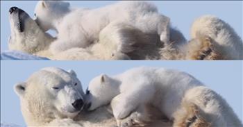 <p>A mom polar bear and her cub share precious snuggles. Out on the frozen tundra, where the wind howls and the snow glistens like diamonds, a moment so unbearably sweet was caught on camera&mdash;one that will have you paws-ing for a deep breath and a big ol&rsquo; smile.</p>

<p>A snow-white polar bear cub, full of playful mischief, was captured snuggling up to its mama in Canada, turning the icy landscape into the warmest place on Earth. The heart-melting video shows the tiny cub clambering over its mama&rsquo;s belly, nuzzling her with soft kisses and playful baby bear nibbles. And oh, that moment&mdash;when Mama Bear, with all the patience and love in the world, gently pushes back with her giant paw before scooping her little one into the safest place in the Arctic&mdash;a big, cozy bear hug.</p>

<p>Because mamas know, they know that warmth is more than fur and fat&mdash;it&rsquo;s presence. It&rsquo;s letting the little ones climb all over you, sink into your side, and feel the steady, unfailing love that says, I&rsquo;m here. I&rsquo;ve got you. You are mine.</p>

<p>Wildlife photographer Drew Hamilton, who posted the video on Feb. 4, simply <a href="https://www.miamiherald.com/news/nation-world/world/article300269209.html">captioned</a> it: Kisses. Moms understand. And isn&rsquo;t that the truth? Whether in a den of snow or a house full of legos and laundry, moms everywhere recognize that language of love&mdash;the squeeze, the nuzzle, the &ldquo;I&rsquo;ll always be your safe place&rdquo; kind of hug.</p>

<p>The internet, of course, couldn&rsquo;t bear the sweetness. Viewers flooded the comments, <a href="https://www.instagram.com/reel/DFqRNcURqqG/">calling</a> it &ldquo;heart-melting&rdquo; and &ldquo;completely adorable.&rdquo; Because in a world that can feel cold, moments like these remind us&mdash;that love is the warmest thing of all.</p>

<p>So go ahead&mdash;watch the video, let your heart melt like spring ice, and maybe even give your own little cub a squeeze today.</p>

<p><em><strong><a href="https://www.godtube.com/bible/isaiah/66-13">Isaiah 66:13</a></strong> "As a mother comforts her child, so will I comfort you."</em></p>
