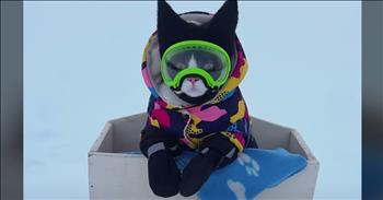 <p>An adorable cat dressed for snowy fun is the cutest thing ever. The feline apparently loves getting out in the winter weather conditions for a good time. And the precious kitty also sports some of the cutest outfits you&rsquo;ve ever seen while doing it. Watch the short clip to hear about and see Fitz&rsquo;s love for sledding and all things winter.</p>

<p>Animals are some of the best creatures you&rsquo;ll encounter on Earth. If you treat them with kindness, respect and love, most will reciprocate. Of course, there are larger, more ferocious members of the animal community and it&rsquo;s always best to avoid them, but you get the general idea. You treat them right, and they&rsquo;ll do the same to you more often than not.</p>

<p>However, not all animals are the same. Dogs have much different personalities and temperaments than cats. Cats are typically more cautious, reserved and strong-willed, choosing to do what they want when they want to. However, as <a href="https://www.youtube.com/watch?v=Y_-1Gn4W1Bo">a clip posted on YouTube</a> makes abundantly clear, there are always exceptions to the rule.</p>

<p>Fitz is likely the chilliest, calmest and most easy-going cat you&rsquo;ll ever meet. He loves being pulled in the sleigh down a snow-covered hill and does so while he&rsquo;s bundled up in some of the cutest outdoor wear possible. Most cats would absolutely refuse to wear anything on their face and ears, scratching and crawling as you attempt to put it on them, but not Fitz. He doesn&rsquo;t seem to care at all. He might even enjoy it. Or maybe he understands how cold it is in Canada and that if you step outside in that country during the wintertime, it&rsquo;s a good idea to dress warm.</p>

<p>Either way, Fitz being pulled down the hill in his custom-made sled as he enjoys the ride while wearing ear warmers, boots, a jacket and goggles is one of the cutest, most adorable things you&rsquo;ll ever see.</p>

<p><em><strong><a href="https://www.godtube.com/bible/genesis/1-21">Genesis 1:21</a></strong> &ldquo;And God created great whales, and every living creature that moves, which the waters brought forth abundantly, after their kind, and every winged fowl after his kind: and God saw that it was good.&rdquo;</em></p>
