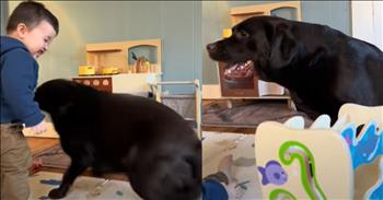 <p>Do you remember your very first best friend? In this case, it&rsquo;s a toddler and a black lab&rsquo;s adorable bond that will no doubt melt hearts.&nbsp;</p>

<p>&nbsp;We all had best friends when we were little. They were the ones who were there for every scraped knee, every belly laugh, every whispered secret under a blanket fort. For Charlie, a toddler with eyes full of wonder and a heart wide open, his first best friend isn&rsquo;t just one&mdash;it&rsquo;s two. Moose and Poppy, his English Labs, have been by his side for as long as he can remember.</p>

<p>They are the kind of friends who don&rsquo;t need words, just presence. Moose, the older one, watches from a quiet distance, steady and sure. But Poppy? Poppy is all in every single time. She is joy, wrapped in fur, bounding through the house with the kind of energy only a dog who has found her person can have.</p>

<p>There&rsquo;s a video of the two of them, a small moment caught on camera that holds something so much bigger. Charlie, laughing from the depths of his tiny belly, and Poppy, zipping back and forth in dizzying circles. The two of them caught up in some sacred rhythm of joy. And then, something small but telling. Poppy, in all her excitement, sneezes&mdash;a quiet signal in the language of dogs. It&rsquo;s her way of saying, &ldquo;I&rsquo;m playing. I&rsquo;m being gentle. You are safe with me.&rdquo; Someone in the <a href="https://www.tiktok.com/@mooseandpoppy/video/7468043720957447467">comments</a> notices it, too. &ldquo;It&rsquo;s like she knows she has to be careful, so she&rsquo;s doing zoomies with the parking brake on.&rdquo; Another <a href="https://www.tiktok.com/@mooseandpoppy/video/7468043720957447467">writes</a>, &ldquo;The way she keeps checking in to make sure he&rsquo;s okay&mdash;that&rsquo;s love.&rdquo;</p>

<p>And isn&rsquo;t that what makes this so beautiful? Not just the laughter, not just the play, but the way she sees him. The way she moves with just enough restraint, even in her wildest joy. The way he trusts her completely. Because love&mdash;real, deep, steady love&mdash;does that. It runs wild but stays near. It delights but protects. It moves fast but never too far.</p>

<p>Charlie may not know it yet, but he will. One day, when childhood is a memory and Moose and Poppy are names he speaks with longing, he&rsquo;ll realize what a gift it was to be loved like this. To have had best friends who never needed words, just an open door and a heart big enough to hold all the love they had to give.</p>

<p><em><strong><a href="https://www.godtube.com/bible/proverbs/17-17">Proverbs 17:17</a></strong> "A friend loves at all times, and a brother is born for a time of adversity."</em></p>
