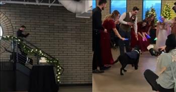 <p>A dog got a special and heartwarming entrance at a wedding reception. Like the rest of the wedding party, the canine received an entrance to the reception following the wedding. Watch the short clip to see the cute and memorable moment.</p>

<p>Animals are unique members of God&rsquo;s creation. They are, without a doubt, some of the best beings we will encounter on Earth. They are loyal, loving and dependable to a fault. How can you not love and appreciate animals?</p>

<p>Whether you have a dog, cat, a duck or, for some reason, a snake, our pets quickly become members of the family. It quickly gets to the point where celebrating or doing anything significant without them feels wrong. When they aren&rsquo;t around for the special moments, it feels like a family member is missing, and we&rsquo;re often right about that.</p>

<p><a href="https://www.tiktok.com/@allyandthedogs/video/7461832409823104286">As a clip posted on social media</a> shows, one furry, four-legged friend was included in a monumental moment. The 29-second video is of a wedding reception; all the guests are seated, and the wedding party has already entered the room. Everything appears to be going normally, but then the DJ does something unexpected.</p>

<p>He stops everything and tells the guests and the wedding party, "I feel like we&rsquo;re missing somebody.&rdquo; There is silence throughout the room, as many people are likely confused about what the DJ is talking about. But moments later, it becomes clear who had not made their grand entrance.</p>

<p>The DJ starts playing &ldquo;Who Let the Dogs Out?&rdquo; and announces that Duke, the Dog of Honor, is now entering the room. There is much excitement as the pup makes its way down the stairs.</p>

<p>Everyone is now here, and the reception can go as planned. Also, near the end of the clip, you can see Duke sporting what looks to be a tuxedo.</p>

<p><em><strong><a href="https://www.godtube.com/bible/genesis/1-21">Genesis 1:21</a></strong> &ldquo;And God created great whales, and every living creature that moves, which the waters brought forth abundantly, after their kind, and every winged fowl after his kind: and God saw that it was good.&rdquo;</em></p>
