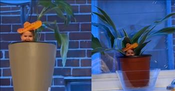 <p>One clever grandmother has outsmarted a plant-loving cat. Her odd but unique move is an effort to keep the curious feline from bothering the plants in her house. Watch the short but hilarious clip to see what the grandmother has done to keep the cat away from her plants.</p>

<p>Most people absolutely love animals. Many wouldn&rsquo;t know what to do without those cute, furry and four-legged creatures. Our pets have a way of quickly finding their way into our hearts forever, becoming members of the family. Soon after bringing them home, doing anything significant without them feels almost wrong.</p>

<p>But as much as we love our pets, there are still times when their behavior is less than ideal. They need correction and be informed that what they did was unacceptable. Cats especially seem to have an issue with acting out in troublesome ways. It&rsquo;s got to be that their curious nature gets the better of them.</p>

<p>In a <a href="https://www.tiktok.com/@the.type.a/video/7485915415076424991">video posted on social media</a>, one woman has found a unique and hilarious way to try to keep a cat from bothering the plants in her home. In addition to being inquisitive about anything new, cats are also very cautious and even skittish at times. They all seem to have things that cause them great trepidation and fear, which often includes people.</p>

<p>The woman understands that the cat in her house has a fear of her grandson and has used that to her advantage. As the video shows, the woman has placed tiny photos of her grandson in each pot with a plant.</p>

<p>The text in the 15-second video states, &ldquo;My mom is keeping these little pictures of my nephew in her plants because my cat always hides when he&rsquo;s around.&rdquo;</p>

<p>As one of the video comments correctly and hilariously points out, the photo of the child is basically a scarecrow for the cat.</p>

<p><em><strong><a href="https://www.godtube.com/bible/genesis/1-21">Genesis 1:21</a></strong> &ldquo;And God created great whales, and every living creature that moves, which the waters brought forth abundantly, after their kind, and every winged fowl after his kind: and God saw that it was good.&rdquo;</em></p>

