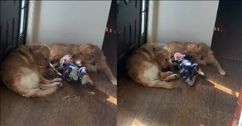 <p>A mom turned the corner and saw the most adorable sight ever. What this mother happened to come across is likely to be the cutest and most heartwarming thing you&rsquo;ll see today as well. Watch the short but precious clip to witness the sweet moment.</p>

<p>Animals are some of the best things about living on Earth. They are another one of the many ways the Lord has touched and blessed our lives. How can you not love animals? Even individuals who do not currently have a pet are likely to be big fans of those cute, four-legged and furry critters.</p>

<p>But when it comes to animals, everyone knows that dogs are special. They are just a notch above every other four-legged creature. Dogs are loyal, dependable to a fault and love unconditionally. They are man&rsquo;s best friend, after all.</p>

<p>One mom came across one of the cutest scenes possible. As the text in <a href="https://www.instagram.com/reel/DGRYYxsSsHN/">the Instagram video points out</a>, things were &ldquo;too quiet,&rdquo; and she started to hear giggling. So, being a mother, she had to investigate the situation and discover what was causing the laughter.</p>

<p>When she turned the corner, she finally spotted why her son was giggling. Her 1-year-old was found on the floor, but he was not injured or upset. Instead, the little guy was lying between his two &ldquo;doggie brothers.&rdquo;</p>

<p>The two full-grown golden retrievers were on either side of the child and loving on him. They were smothering him with doggy kisses, which the child, evidenced by his laughter, was absolutely loving.</p>

<p>What an absolutely beautiful clip and sight that provides another reason why dogs are so special. It&rsquo;s hard to imagine two cats responding to and treating a child in a similar fashion.&nbsp;</p>

<p><em><strong><a href="https://www.godtube.com/bible/genesis/1-21">Genesis 1:21</a></strong> &ldquo;And God created great whales, and every living creature that moves, which the waters brought forth abundantly, after their kind, and every winged fowl after his kind: and God saw that it was good.&rdquo;</em></p>
