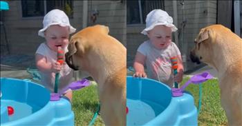 <p>A toddler&rsquo;s reaction to sharing a hose with a dog is too cute to miss. The two pals were getting a drink from a hose when the child got the giggles. Watch the short but sweet clip to watch the heartwarming moment.</p>

<p>It&rsquo;s been said that dogs are man&rsquo;s best friend. Unlike a lot of popular sayings, that one is undoubtedly true. All animals are great and beloved by most people, even those who are not pet owners. But there is something special about dogs.</p>

<p>Dogs are incredibly loyal, dependable to a fault and love unconditionally. Those furry, four-legged creatures greet you at the door every day, regardless of whether you&rsquo;ve had a terrific day or one you&rsquo;d rather forget. They are pals through thick and thin and will never even consider going elsewhere.</p>

<p>Additionally, dogs are some of the most kind and gentle creatures. A short and <a href="https://www.youtube.com/shorts/KrTHSptjfdU">adorable clip posted on YouTube</a> proves this. It&rsquo;s so cute that you&rsquo;ll probably have to watch it multiple times! Who could ever get tired of watching dogs interact with babies and toddlers?</p>

<p>The clip starts with the youngster and the dog outside, standing near a pool-like object. Near this blue-colored item is a hose, which is spitting out water. The little one, who has control of the hose, helps himself to a drink from the hose. The dog stands nearby, taking this all in, patiently waiting for its chance to quench its thirst from the hose.</p>

<p>However, after the youngster gets a drink, the sweetest thing happens. The child starts giggling uncontrollably and gives the animal a drink from the hose, holding it to its mouth. The child and the dog go back and forth several times, taking turns grabbing drinks of water from the hose.</p>

<p>The whole time, the child laughs and takes the hose from its mouth to the dog; the sweet dog stands nearby, watching the child. The dog never moves or even tries to grab at the hose. It&rsquo;s so patient, kind and gentle with the little one.</p>

<p>What a sweet scene!</p>

<p><em><strong><a href="https://www.godtube.com/bible/genesis/1-21">Genesis 1:21</a></strong> &ldquo;And God created the great whales, and every living creature that moves, which the waters brought forth abundantly, after their kind, and every winged fowl after his kind: and God saw that it was good."</em></p>
