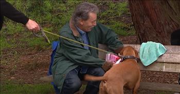 <p>All one man wanted for his birthday was to pet dogs &ndash; and it was paw-some! This man decided he wanted to spend his big day with several hundred cute, furry, four-legged friends, and that&rsquo;s precisely what he did. Watch this short but sweet video to see how this man spent his birthday petting dogs.</p>

<p>Animals are some of the best creatures on Earth. They are loving, loyal and dependable to a fault. Whenever you arrive home after a day when everything went perfectly and according to plan, they are at the door to greet you. On the other hand, when your day has been less than ideal, they are still there, eagerly waiting to welcome you home.</p>

<p>As wonderful as all animals are, there is something special about dogs. The popular saying states that dogs are man&rsquo;s best friends, not cats, porcupines or rabbits. Anyone who has ever had the pleasure of having a dog understands that dogs are truly exceptional and remarkable critters. Who could say otherwise with a straight face?</p>

<p><a href="https://www.youtube.com/watch?v=2ZkR7vO0xko">In a clip posted on YouTube</a>, one man who understands how unique and extraordinary dogs are decided to spend his birthday with them. For his 67th birthday, Gary Tucker created a sign saying, &ldquo;It&rsquo;s my birthday: May I pet your dog? (can they have a treat?)&rdquo; and then sat on a park bench. Dog owners in the park passing by made Gary&rsquo;s birthday wish come true!</p>

<p>Dog after dog stopped by to greet Gary and receive a special treat. Gary absolutely enjoyed himself and had a wonderful day! Who wouldn&rsquo;t have an excellent time when surrounded by those cute and loving creatures?</p>

<p>&ldquo;I&rsquo;m loving it,&rdquo; he said. &ldquo;This is exactly what I wanted to do for my birthday.</p>

<p>What a sweet story!</p>

<p><em><strong><a href="https://www.godtube.com/bible/genesis/1-21">Genesis 1:21</a></strong> &ldquo;And God created great whales, and every living creature that moves, which the waters brought forth abundantly, after their kind, and every winged fowl after his kind: and God saw that it was good.&rdquo;</em></p>
