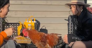 <p>A rooster has the funniest (and cutest) reaction to his owner! You know what they say&mdash;sometimes, the loudest love shows up with feathers, flapping wings, and a strut that makes you laugh out loud. Meet Jojo. The rooster with a love story that&rsquo;ll make your heart cluck a little harder and your eyes mist over in the sweetest way.</p>

<p>&ldquo;Jojo is obsessed with me&mdash;like, really obsessed with me,&rdquo; <a href="https://www.youtube.com/watch?v=iJkD5XWt0Hc">says</a> Sanaz, his human. &ldquo;He runs to me and always does a little dance around me.&rdquo;</p>

<p>And it&rsquo;s true. Whenever Sanaz calls his name, Jojo comes sprinting across the yard&mdash;beak up, tail feathers flying&mdash;like he&rsquo;s starring in his own rom-com set on a farm. The moment he hears her voice, he lights up. Or rather, fluffs up. He doesn&rsquo;t just come&mdash;he twirls. He pirouettes with poultry passion. This little rooster isn&rsquo;t afraid to shake a tail feather for the one who raised him.</p>

<p>&ldquo;He really wants to be snuggled and hugged by me,&rdquo; she <a href="https://www.youtube.com/watch?v=iJkD5XWt0Hc">says</a>, with a soft laugh that only someone who&rsquo;s been tenderly pecked awake by love can give. &ldquo;I guess this is the way that he shows me that he loves me.&rdquo;</p>

<p>And isn&rsquo;t that just like the way God wired even the smallest of His creation? To give back love in the form they know best. This is to remind us that affection doesn&rsquo;t always come in perfect packages&mdash;it sometimes arrives with a squawk, a prance, and a peck on the cheek.</p>

<p>However, not everyone was thrilled about Jojo&rsquo;s displays of affection. Some neighbors didn&rsquo;t share Sanaz&rsquo;s enthusiasm for crowing at dawn. So with a heart heavy as a grain sack, she knocked on over 200 doors&mdash;yes, two hundred&mdash;until she found him a home that could take him in. A place with open space, open hearts, and roosters welcome. But this isn&rsquo;t a story of goodbye. Because love like this doesn&rsquo;t just end.</p>

<p>Sanaz still visits Jojo every day. She shows up, and Jojo still runs. They take car rides together&mdash;just a woman and her rooster, driving through town like it&rsquo;s the most normal thing in the world. They stop at the coffee shop, sit side by side, and share pastries. Jojo nibbles delicately while staying right beside his person, content just to be near her.</p>

<p>&ldquo;He is everything to me, and I&rsquo;m like a mom to him,&rdquo; Sanaz <a href="https://www.youtube.com/watch?v=iJkD5XWt0Hc">says</a>. &ldquo;I raised him with so much love, and I think this is why Jojo is like this.&rdquo;</p>

<p>And maybe that&rsquo;s the whole point. Maybe it&rsquo;s less about the crowing and the crumbs&mdash;and more about how love leaves its mark, feathered and flapping and full of delight. Because the world needs more Jojo love&mdash;more joy that dances and more loyalty that follows you into the car and stays for coffee.</p>

<p>It&rsquo;s funny, isn&rsquo;t it? The way God sends little reminders in the most unexpected ways. Of how nurturing shapes hearts, of how affection isn&rsquo;t limited to the usual suspects, and of how love&mdash;even the rooster kind&mdash;always finds a way back home.</p>

<p>So today, let's slow down and look around. The very love you need is strutting right toward you with a little dance. And maybe&mdash;just maybe&mdash;it&rsquo;s time to stop and share the pastry.</p>

<p><em><strong><a href="https://www.godtube.com/bible/job/12-7">Job 12:7-10</a></strong> &ldquo;But ask the animals, and they will teach you, or the birds in the sky, and they will tell you; or speak to the earth, and it will teach you, or let the fish in the sea inform you. Which of all these does not know that the hand of the Lord has done this? In his hand is the life of every creature and the breath of all mankind.&rdquo;</em></p>
