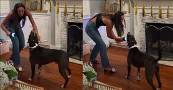 <p>This singing pup nails its karaoke moment like a pro. Hilariously, the animal knew exactly when and what to sing at the precise instant. Check out the short but hysterical clip to watch and listen to the canine belt out a lyric to a once-popular tune.</p>

<p>Karaoke is something a lot of people enjoy doing. It&rsquo;s an activity that everyone can do. Even if you can&rsquo;t carry a note in a bucket but are still brave enough and willing to try it, karaoke might be for you. All you must do is take along a group of some of your least judgmental friends, find the right song and sing along to your heart&rsquo;s content.</p>

<p>Honestly, most people already participate in karaoke. Singing along to a favorite song in the car on your way to work, the grocery store or the gym is basically karaoke. The only difference, which is a big one, is that other people can see and hear you singing while you are doing karaoke. Knowing an audience is present is enough to make a lot of people (me included) never try karaoke.</p>

<p><a href="https://www.tiktok.com/@sydsydsydsydsydney/video/7490007432425524510">A hysterical clip posted on social media</a> shows a dog who does not care who hears its karaoke performance. The adorable pup really got into its performance as it sang a fitting song&mdash;2009&rsquo;s &ldquo;Who Let the Dogs Out&rdquo; by the Baha Men. At the time of its release, it was an immensely popular, inescapable tune. Everywhere you went, you heard that song.</p>

<p>Of course, given the song's title, the musicians are trying to figure out who freed the canines. The tune&rsquo;s chorus, which asks that all-important question, also includes a smattering of dog barks. As the woman in the video enthusiastically performs the song, the dog joins in at the right time, nailing its karaoke performance like a pro.</p>

<p>What a hilarious and adorable moment!</p>

<p><a href="https://www.godtube.com/bible/genesis/1-21">Genesis 1:21</a> &ldquo;And God created great whales, and every living creature that moves, which the waters brought forth abundantly, after their kind, and every winged fowl after his kind: and God saw that it was good.&rdquo;</p>
