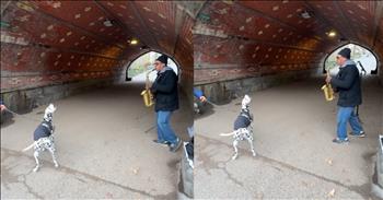 <p>This pup joined a saxophonist, and it&rsquo;s the cutest jam session ever. The canine was passing by the musician, and the animal decided to lend its voice, making for a cute and hilarious moment. Watch the short but adorable clip to see and listen to the precious and unexpected jam session.</p>

<p>Everyone listens to and enjoys music. Can you even name or think of anyone who does not care to hear music? Would they really rather sit in silence? Anyone who doesn&rsquo;t enjoy music would be a terribly boring person, that&rsquo;s for sure.</p>

<p>Another thing that is for sure and a well-known, undisputed fact is that musicians are a talented group of people. The Lord has blessed them with the gifts and abilities to make beautiful, pleasing sounds. Of course, some are more gifted musically than others, with many others unable to carry a tune in a bucket (me included).</p>

<p><a href="https://www.tiktok.com/@yasmineyacut/video/7493177905107799338">A hilarious clip posted on social media</a> shows that some animals are music fans and, surprisingly, even have some musical ability. The short, seven-second video captured the sweet and unexpected jam session, which took place near the end of a long tunnel.</p>

<p>The man playing the saxophone stands on one side of the tunnel. He blows into the instrument as he gets some canine help with his performance. The dog, who was likely out for a walk and was passing by the musician, thought it appropriate to stop and offer its best solo performance momentarily.</p>

<p>It's an absolutely hilarious and adorable clip. The dog must have enjoyed what the musician was doing because the animal is clearly trying to match what it&rsquo;s hearing coming from the man with the saxophone.</p>

<p>Not many people can likely say they had a dog perform a tune with them, but the guy in this short clip most certainly can!</p>

<p><em><strong><a href="https://www.godtube.com/bible/genesis/1-21">Genesis 1:21</a></strong> &ldquo;And God created great whales, and every living creature that moves, which the waters brought forth abundantly, after their kind, and every winged fowl after his kind: and God saw that it was good.&rdquo;</em></p>
