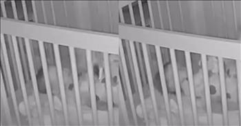 <p>This young Mets fan&rsquo;s chant is hilarious and adorable. The little guy is apparently a big fan of the New York baseball team and wanted to show his support for them when he should have been sleeping. Watch the short but heartwarming clip to see and hear the adorable moment of the young man supporting his favorite baseball team.</p>

<p>Is there a more passionate and committed group of people than sports fans? Sure, people will rush out and see the latest blockbuster in theaters, flocking to and selling out midnight showings. Individuals will also, for some reason, camp out for days ahead of a concert so they can be near the front of the stage. Even more mystifying and baffling, people have shown they will exhibit that same odd behavior for people running for public office.</p>

<p>Despite all the strange behavior people often display when they become members of large groups, sports fans are more committed and passionate than anyone. They stick with their team through the good times and the bad and continue to purchase their merchandise when the team has a subpar season. It&rsquo;s that dedication and commitment that make the good seasons that much better.</p>

<p><a href="https://www.youtube.com/shorts/YppRKpGVj4U">In a clip posted on YouTube</a>, a 2-year-old shows that he is likely to be a Mets fan for life. Some could argue that he&rsquo;s their biggest and youngest fan. The little guy was captured on a baby monitor in his crib, chanting about the Mets.</p>

<p>&ldquo;Let&rsquo;s go, Mets!&rdquo; the youngster yells repeatedly as he moves about in his crib.</p>

<p>While not a big baseball fan, I, like many others, am in no way a fan of New York&rsquo;s other professional baseball team, the Yankees. And it would appear that this little guy is not either. When choosing a New York baseball team, the young man is, without a doubt, with the Mets.</p>

<p><em><strong><a href="https://www.godtube.com/bible/proverbs/22-6">Proverbs 22:6</a></strong> &ldquo;If a child is trained up in the right way, even when he is old he will not be turned away from it.&rdquo;</em></p>
