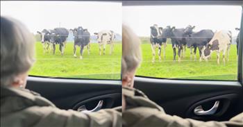 Grandmother's Strange Cow Call Actually Works, and the Herd Comes Running