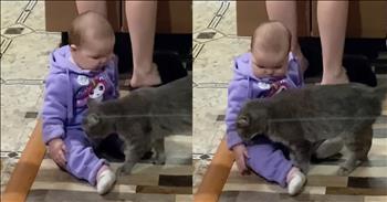 <p>A concerned cat stepped in and comforted an upset child. The feline knew precisely what the little one needed and took action to calm the youngster down. Watch the short but heartwarming clip to see the moment when the affectionate cat attended to the distressed child.</p>

<p>Animals are great, aren&rsquo;t they? Who would or could argue otherwise with a straight face? Those cute, furry, four-legged creatures are loving and loyal and make for some of the best friends we&rsquo;ll have on this earth. Their presence is yet another way the Lord blesses and touches our lives.</p>

<p>When you have a pet, it&rsquo;s easy to think of yourself as constantly caring for them. Yes, we must feed them, give them water, brush them and take them for walks. Without us, their food and water bowls would never be refilled, and they can&rsquo;t run a brush through their coat, so their fur would quickly become one big, matted and tangled mess if not for us.</p>

<p>But what about what they do for us? <a href="https://www.youtube.com/shorts/QRak_TOtH7g">A clip posted on YouTube</a> shows a cat providing comfort and attention to an upset child.</p>

<p>In the video, the child sits in the middle of the kitchen floor. Behind the youngster is a woman who is almost surely the child&rsquo;s mother. She appears to be washing dishes. However, the youngster is upset and throws a fit for one reason or another. Mom is well aware of the child&rsquo;s current state as she speaks to the child, but that does not help soothe the baby.</p>

<p>Seconds into the clip, a cat enters the room. It immediately approaches the upset child and begins brushing up against the little one. The cat&rsquo;s mere presence in the room and then its actions instantly change the baby&rsquo;s mood. The child stops crying and wailing. The cat knew exactly what the child needed and how to care for the little one in that moment.</p>

<p><em><strong><a href="https://www.godtube.com/bible/genesis/1-21">Genesis 1:21</a></strong> &ldquo;And God created great whales, and every living creature that moves, which the waters brought forth abundantly, after their kind, and every winged fowl after his kind: and God saw that it was good.&rdquo;</em></p>
