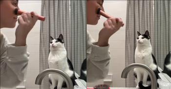 Cat Joins Owner in Getting Ready for the Day in the Funniest Way