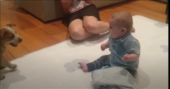 <p>This baby&rsquo;s first encounter with a puppy is the sweetest thing you&rsquo;ll see today. While having the time of his life, the young man could not get enough of the little dog. Watch the short but precious clip to see and hear the young man&rsquo;s adorable response during his first interaction with a puppy.</p>

<p>Aren&rsquo;t animals some of the best things about living on Earth? Who could or would want to argue otherwise? Even those who don&rsquo;t have a pet still have a soft spot in their hearts for them. They are loyal and dependable to a fault. Those cute, furry, four-legged creatures also love unconditionally, and make for some of the best friends you&rsquo;ll ever have.</p>

<p>As great as animals are, everyone knows that dogs are a step above every other member of the animal community. After all, dogs are consistently and constantly referred to as &ldquo;man&rsquo;s best friend.&rdquo; Anyone who has ever had the privilege of owning a dog knows that this is one saying that is undoubtedly true.</p>

<p><a href="https://www.youtube.com/watch?v=dLi87f-uAY8">A clip posted on YouTube</a> shows a young man encountering a puppy for the first time. It&rsquo;s an absolutely adorable sight. The young man's response to the excited and energetic pup is precious. He is not afraid of the animal at all. As soon as the baby catches a glimpse of the animal, he begins giggling, and the giggles do not stop. The child is entirely captivated by the animal, unable to take his eyes off the creature.</p>

<p>The pup also seems to be having fun, as it investigates the small human sitting in the middle of the floor. It jumps, back and forth, around the child, trying to get a smell of the young man.</p>

<p>It&rsquo;s clear from their first interactions that these two will be the best of friends!</p>

<p><em><strong><a href="https://www.godtube.com/bible/genesis/1-21">Genesis 1:21</a></strong> &ldquo;And God created great whales, and every living creature that moves, which the waters brought forth abundantly, after their kind, and every winged fowl after his kind: and God saw that it was good.&rdquo;</em></p>
