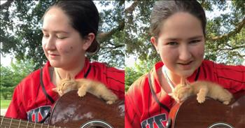 <p>A kitten&rsquo;s unusual nap spot will leave you smiling all day. The feline selected an odd and unexpected place, even for a cat, to get some rest, but it appeared completely satisfied with its choice. Watch the short but sweet and hilarious clip to see where the tiny cat chose to sleep.</p>

<p>Animals, like humans, enjoy getting a nap in whenever possible. Of course, animals have many more opportunities to get some much-needed rest. Humans have work and family obligations, and animals tend to have a much freer, more wide-open daily schedule, which is usually filled with plenty of naps and the occasional playtime.</p>

<p>While all animals can and do sleep a lot, one creature tops all the rest when it comes to kicking back, relaxing and catching some shuteye. Of course, I&rsquo;m talking about cats. Felines have taken sleeping to an art form. As anyone who has ever had a cat knows, they have the ability to sleep at any time, in any place and any position. <a href="https://www.tiktok.com/@zaunbrecher8/video/7505570319587986718">A clip posted on social media</a> further proves this idea that cats are professional sleepers.</p>

<p>In the TikTok video, a young woman plays an acoustic version of the 80s classic &ldquo;Take on Me&rdquo; by a-ha. While she plays beautifully, your eyes will likely immediately be drawn to the creature resting on top of her guitar&mdash;a sweet, tiny orange-and-cream-colored kitten. The cat, who only momentarily has its eyes open at the start of the clip, is not bothered by the sounds or the vibrations. In fact, the adorable feline seems to be perfectly content with its selected nap location.</p>

<p>This brief clip shows that cats are some of the most unique creatures on Earth. They can make anywhere a place to get some rest and shuteye.</p>

<p><em><strong><a href="https://www.godtube.com/bible/genesis/1-21">Genesis 1:21</a></strong> &ldquo;And God created great whales, and every living creature that moves, which the waters brought forth abundantly, after their kind, and every winged fowl after his kind: and God saw that it was good.&rdquo;</em></p>
