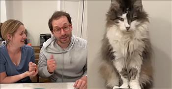 This Couple’s Laugh-Out-Loud Method for Picking Who Grooms the Cat