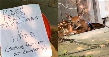 <p>Someone left a note for the delivery driver, and the reason why will absolutely melt your heart. Someone dropping off a package was met with an unexpected sight. Watch the short but heartwarming video to read and see why the homeowner left a note for the delivery driver.</p>

<p>In a world where more and more people opt to buy items from websites promising two-day shipping, delivery drivers are extremely busy. After the purchases are finalized, their trucks or vans are loaded with items, and then they quickly get on their way, taking those purchases to their final destination.</p>

<p>The most efficient route and method is always best, especially for those delivering packages. Like everyone else, they have a job to do, and no one wants to encounter interruptions while fulfilling their duties. Any slowdown or disturbance in a delivery driver&rsquo;s route could result in frustration. However, <a href="https://www.tiktok.com/@psych0sis__/video/7511847266362346798">as a video posted on social media</a> shows, one delivery driver encountered a disturbance, an interruption while delivering a package for the most heartwarming possible reason.</p>

<p>In the clip, the driver arrives at the customer&rsquo;s property and encounters a note lying on a bucket. The note contains precise instructions.</p>

<p>&ldquo;Please leave packages here,&rdquo; the note reads with an arrow pointing to the ground.</p>

<p>But look a little closer, and you&rsquo;ll see the reason for the odd and unexpected directive. The note adds that a &ldquo;sleeping fawn&rdquo; is &ldquo;on our doorstep.&rdquo;</p>

<p>&nbsp;If you thought the person who wrote the note was lying or a bit strange, the camera pans over and shows proof that the creature has decided to lie next to the front door.</p>

<p>The creature, aware of the driver&rsquo;s presence, raises its head to look in the camera&rsquo;s direction, but it does not appear concerned or threatened. What an unbelievably sweet sight!</p>

<p><em><strong><a href="https://www.godtube.com/bible/genesis/1-21">Genesis 1:21</a></strong> &ldquo;And God created great whales, and every living creature that moves, which the waters brought forth abundantly, after their kind, and every winged fowl after his kind: and God saw that it was good.&rdquo;</em></p>
