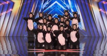 <p>One group&rsquo;s dancing cat routine on America&rsquo;s Got Talent is purr-fect. While dressed as felines, the performers pulled off a fun and delightful, choreographed dance number that had everyone smiling and cheering. Watch the short but awe-inspiring clip to see the dance troupe&rsquo;s captivating routine.</p>

<p>Thousands of people try out for programs like<em> America&rsquo;s Got Talent</em>, The Voice and American Idol every year. All those would-be contestants hope their talent will impress and compel the judges to vote them onto the show and move them to the next round of the competition. For some, that works out, but for many others, a much larger portion, that does not happen.</p>

<p>Those popular shows are most concerned about finding the best, most gifted and most skilled individuals. They are talent shows, after all. &nbsp;But it also doesn&rsquo;t hurt to surprise the judges and catch them off guard with something they have likely never seen before. As a performer, it&rsquo;s always a good idea to have a little flair that will help you stick out and be memorable to your audience.</p>

<p><a href="https://www.youtube.com/watch?v=_PoJHP0_tdQ">A clip posted on YouTube</a> shows one act that the four judges on <em>America&rsquo;s Got Talent</em> will surely not forget for quite some time. The handful of dancers made their way out onto the stage dressed as cats and proceeded to put on a show-stopping, completely captivating performance. Everyone in the audience, including the judges, was cheering and smiling, having a good time.&nbsp;</p>

<p>Even if you didn&rsquo;t think their routine was that great, you likely still couldn&rsquo;t take your eyes off what was happening on the stage.</p>

<p>If nothing else, the group&rsquo;s act was utterly unique and different. They took a chance and didn&rsquo;t just come out on the stage and give yet another mediocre performance while singing a beloved, well-known tune. They at least get points for being unusual, right?</p>

<p><em><strong><a href="https://www.godtube.com/bible/psalms/149-3">Psalm 149:3</a></strong> &ldquo;Let them give praise to his name in the dance: let them make melody to him with instruments of brass and corded instruments of music.</em></p>
