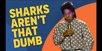 What NOT to Do When You See a Shark | Henry Cho Comedy