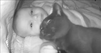 <p>This cat-baby duo might be the cutest pair you&rsquo;ve ever seen. These two pals have what is arguably the most adorable bond. Watch the short but precious clip to see the heartwarming connection between this feline and the child.</p>

<p>Animals are fantastic creatures. There is no other way to say it: they are some of the best parts of living on Earth. Even people who aren&rsquo;t current pet owners still have soft spots in their hearts for animals and are likely to agree with my conclusion. How could you not love and adore those cute, furry, four-legged critters?</p>

<p>They love unconditionally, with most simply wanting to be close to you. Show an animal a little bit of kindness, love and attention, and you&rsquo;ll likely have a friend for life. A clip posted on YouTube shows a baby, Kallie, and a cat, Luna, who are certainly friends for life. Clearly, their sweet bond is unbreakable.</p>

<p>In a <a href="https://www.youtube.com/watch?v=XY-inbI-q54">clip posted on YouTube</a>, Luna is caught on camera sneaking into the child&rsquo;s crib for some late-night snuggles. Luna just badly wants to be near the child, even if the feline knows it&rsquo;s not supposed to be in the crib. Luna is willing to risk getting yelled at if it means being near baby Kallie.</p>

<p>&ldquo;It doesn&rsquo;t matter where it is; Luna just seems to always be right next to her,&rdquo; the woman narrating the video says.</p>

<p>The video also mentions that both parties seem to know when the other is being mentioned in conversation. Luna, who does not meow often, will meow whenever being talked to about Kallie.&nbsp;</p>

<p>Likewise, Kallie will elicit inexplicable and indecipherable excited sounds when someone mentions Luna, &ldquo;her kitty,&rdquo; to her.</p>

<p>Even when the child gets a little rough with the cat, Luna seems to understand and doesn&rsquo;t&nbsp;<br />
react. Instead, the cat takes everything in stride and is as gentle as she can be with baby Kallie.</p>

<p>What an adorable pair, with an unbreakable bond!</p>

<p><em><strong><a href="https://www.godtube.com/bible/proverbs/12-10">Proverbs 12:10</a></strong> &ldquo;An upright man has thought for the life of his beast, but the hearts of evildoers are cruel.&rdquo;</em></p>
