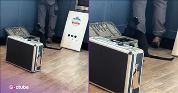 Cat Makes Its Feelings Very Clear to the Plumber in Hilarious Moment