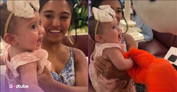 <p>A baby&rsquo;s adorable reaction to meeting a beloved Disney character melts hearts. The little one could not contain her utter happiness and joy when she encountered the recognizable cartoon figure. Watch the short but oh so sweet clip to see the precious moment when the youngster met a Hundred Acre Wood community member.</p>

<p>Disney World is without a doubt one of the most popular vacation destinations in the world. Every year, millions of families visit the four theme parks in Central Florida: Magic Kingdom, EPCOT, Hollywood Studios and Animal Kingdom. They hop on down to the Sunshine State to ride those iconic attractions, try the sugary, delectable treats and meet Mickey Mouse and the rest of the gang.</p>

<p>In addition to Mickey, Minnie Mouse and Donald Duck, other beloved Disney characters can often be spotted roaming the park, meeting and greeting guests. Park guests have plenty of opportunities for a sweet and special interaction with the characters. <a href="https://www.tiktok.com/@vanessaavalenciaa/video/7520593315071348023">A clip posted on social media</a> captured one young lady&rsquo;s interaction with Tigger, and her sweet reaction to seeing the recognizable figure says it all.</p>

<p>In the video, the little girl and her mother are in one of the many restaurants at Disney World, where park guests can meet the characters while eating. The child is meeting Tigger, and the joy and happiness on her face are undeniable. She cannot believe who is standing in front of her.</p>

<p>While many children might fear the large cartoon character, the little one could not be happier. She is having the time of her life. Her eyes are as wide as her smile, and she squeals with delight while meeting Winnie the Pooh&rsquo;s pal, Tigger.</p>

<p>The child eventually reaches out and grabs the cartoon character&rsquo;s hand and pulls it toward her.</p>

<p>What an absolutely adorable scene!</p>

<p><em><strong><a href="https://www.godtube.com/bible/romans/15-13">Romans 15:13</a></strong> &ldquo;Now may the God of hope make you full of joy and peace through faith, so that all hope may be yours in the power of the Holy Spirit.&rdquo;</em></p>
