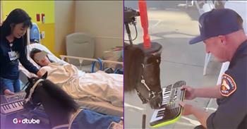 <p>A woman and her team of miniature horses work to lift spirits in hospitals. They visit patients in medical facilities to spread joy and happiness to those in the hospital. Watch the short but heartwarming clip to learn about this woman, her mini horses and their mission to put smiles on the faces of hospital patients.</p>

<p>Hospital visits are not, for the most part, joyful, celebratory outings. They usually begin because someone is sick or in pain and seeks to diagnose and then correct the issue. Similarly, visiting an individual in the hospital, while a courtesy and an excellent way to show someone how much you care, is not usually an occasion to commemorate and look back fondly upon later. Of course, a birth is the only exception to this rule. That is undoubtedly an instance when a visit to the hospital is joyful and a cause for celebration.</p>

<p>Because hospitals are for those who are sick and need medical attention, they are obviously not the most upbeat, lively and happening places in the world. They are usually very much the opposite, which is why one woman and her team of mini horses visit hospital patients. She and her adorable, four-legged friends work to comfort, lift their spirits and put smiles on their faces.</p>

<p>In a <a href="https://www.youtube.com/watch?v=Oupzphy2YDA">clip posted on YouTube</a>, Victoria Nodiff-Netanel, the founder of the nonprofit Mini-Therapy Horses, and her team of miniature horses are spotted interacting with hospital patients and staff. The precious animals perform tricks and offer comfort, with one of the horses even playing the keyboard with its face.</p>

<p>&ldquo;The tricks are really tools for the horses to connect with people, but it&rsquo;s fun,&rdquo; Victoria said.</p>

<p>As Victoria explains, her mission originally started with her visiting a veterans hospital to bring comfort and joy to those who had served in the military.</p>

<p>&ldquo;My dad was a vet, and I just thought, I&rsquo;d really like to help veterans,&rdquo; she added.</p>

<p>What a wonderful, heartwarming mission!</p>

<p><em><strong><a href="https://www.godtube.com/bible/isaiah/41-10">Isaiah 41:10</a></strong> &ldquo;Have no fear, for I am with you; do not be looking about in trouble, for I am your God; I will give you strength, yes, I will be your helper; yes, my true right hand will be your support.&rdquo;</em></p>
