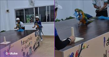 Parrot’s Unexpected Move Mid-Game Will Leave You in Stitches