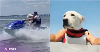 <p>An adventurous pup cannot get enough of the jet ski. The canine loves being out on the water, especially when that means traveling across the water on a jet ski. Watch the short but oh so adorable clip to see this precious pup enjoy some time on the popular water vehicle.</p>

<p>No two people are 100 percent exactly alike. Some may look similar, resembling their mother or father in some way, or could even have a twin, but everyone is still an individual. We all have our own likes, dislikes, tastes and preferences. How boring would life be if we were nothing more than replicas and duplicates of one another? &nbsp;God is in the business of creating originals, and one-of-a-kinds, not carbon copies.</p>

<p>Similarly, that originality and individuality also include animals. Anyone who has ever had a pet understands that no two cats, dogs, turtles, birds or any other creatures are the same. They all possess their own personalities and will vary slightly to drastically in how they act and react to different situations and circumstances.</p>

<p>For instance, not every dog loves water. In fact, many of them despise it and will do everything they can to avoid taking a bath, making it highly unpleasant to the person trying to bathe that particular pup. But a sweet and precious <a href="https://www.youtube.com/shorts/8nPqiidPfSA">clip on YouTube</a> captures one animal that loves being out on the water. While wearing the cutest life vest you&rsquo;ve ever seen, the dog climbs onto a jet ski and patiently waits for the water adventure.</p>

<p>Hilariously, the dog is not slightly frightened but remains calm and pleasant throughout the ride. The pup takes everything in stride, enjoying every second as the canine&rsquo;s long ears flap in the breeze while moving across the water.</p>

<p>Who wouldn&rsquo;t want a pup that enjoyed time in the water? What a precious pup!</p>

<p><em><strong><a href="https://www.godtube.com/bible/genesis/1-21">Genesis 1:21</a></strong> &ldquo;And God created great whales, and every living creature that moves, which the waters brought forth abundantly, after their kind, and every winged fowl after his kind: and God saw that it was good.&rdquo;</em></p>
