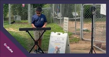 <p>A 12-year-old brings comfort to shelter animals with his soothing, beautiful musical performances. The young man uses his musical talent to help calm and care for animals waiting for their forever homes. Watch the short but sweet clip to learn how the youngster comforts shelter animals.</p>

<p>Every animal wants to be with someone and somewhere where they are cared for and loved. That&#39;s the kind of treatment and environment we all want and deserve. Sadly, because of our world&#39;s lost, broken and fallen state, that is not a reality for far too many people and animals.</p>

<p>Instead, many animals are locked up in shelters, and that&#39;s a place where no animal wants to be. While those animals are cared for, they are often full, and none of the animals get the love and attention they deserve. They are simply there waiting and hoping someone will come along soon and adopt them.</p>

<p>That&#39;s why <a href="https://www.youtube.com/watch?v=wQ0OHqVaXtk">12-year-old Yuvi Agarwal</a> decided to take his musical talents to an animal shelter in Houston, Texas. He performs, hoping that his performance will comfort the animals as they anxiously await someone to come along and take them home.</p>

<p>&quot;Many of them have come from very rough backgrounds with humans,&quot; he said. So, they associate humans with bad things, but once they see humans playing nice music for them, they will associate humans with good things.&quot;</p>

<p>Since playing in that Houston shelter, the 12-year-old has started a nonprofit, <a href="https://wildtunes.org/">Wild Tunes</a>, that performs music for shelter pets in a handful of states &ndash; Texas, Colorado, New Jersey, Virginia and California.</p>

<p>Not only does the music calm and soothe the animals, but one shelter employee stated it also increases their chance of adoption.</p>

<p>&quot;So, this music allows them to calm down and make them ultimately more presentable to adopters,&quot; he said.</p>

<p>People often say that one person cannot make a difference, but 12-year-old Yuvi has proven that one person can make a huge difference.</p>

<p><em><strong><a href="https://www.godtube.com/bible/genesis/1-21">Genesis 1:21</a></strong> &quot;And God created great whales, and every living creature that moves, which the waters brought forth abundantly, after their kind, and every winged fowl after their kind: and God saw that it was good.&quot;</em></p>
