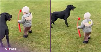<p>A dog and toddler&rsquo;s playtime turned into unexpected comedy gold. The little one inadvertently played an adorable and hilarious prank on the canine and himself. Watch the short but hysterical clip to see what the little one did during playtime that had him and the dog thoroughly and utterly baffled.</p>

<p>There isn&rsquo;t anything much cuter in this world than a little one outside exploring their environment. That&rsquo;s especially true when they are just learning to walk and are still in that wobbly, slightly unstable phase where a harsh gust of wind will knock them to the ground. They may be confident in where they want to go and do, but their body isn&rsquo;t quite sure just yet. You can never be totally sure what the child will do or how they will react.</p>

<p>Now, add a dog to that scenario, and you have what is, without a doubt, the cutest scene possible. You&rsquo;d better have the camera ready to go because anything cute or funny could occur at any moment, and it often does. <a href="https://www.youtube.com/shorts/Krcfk5Giq0s">A clip posted on YouTube</a> proves this to be completely accurate.</p>

<p>In the video, a toddler and a dog are outside playing. The little one, clearly still learning this whole walking thing, holds a tennis ball in his right hand. The family&rsquo;s dog, a Black lab, excitedly moves around in front of the child. The animal can hardly contain itself as it waits for the youngster to throw the ball. But that&rsquo;s when things don&rsquo;t go as expected for the dog or the little boy.</p>

<p>With the ball still in his right hand, the child winds up as he prepares to throw it for the excited pup. However, as he does, the ball slips out of his hand and sits on the top of his hood. The dog and the child are perplexed, wondering where the tennis ball could have gone.</p>

<p><em><strong><a href="https://www.godtube.com/bible/proverbs/22-6">Proverbs 22:6</a></strong> &ldquo;If a child is trained up in the right way, even when he is old, he will not be turned away from it.&rdquo;</em></p>
