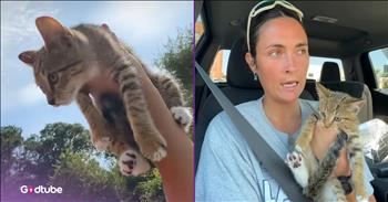 <p>A woman claimed she wasn&rsquo;t a cat person, that is, until she found a kitten while out running. Her entire outlook on cats quickly changed soon after she came across the sweet kitten. Watch the short but heartwarming clip to see and hear how this young woman completely changed how she felt and thought about cats.</p>

<p>Everyone loves animals, right? How could you not love and adore those sweet, cuddly, four-legged creatures? They are some of the best things about living on Earth. It&rsquo;s nearly impossible to pass by a cat, a dog, or any other animal, for that matter, and not acknowledge it in some way. I think it might actually be physically impossible to do so.</p>

<p>Regardless of how much we love animals, people typically divide themselves into two camps when it comes to them. People claim to be either a cat person or a dog person. Of course, that means that while they might like and appreciate the other, they don&rsquo;t see themselves ever having either a dog or a cat as a pet. But do people really adhere to that, hold themselves to it? <a href="https://www.youtube.com/shorts/TYbwkycZtoU">A clip posted on YouTube</a> shows that some people are not exactly serious when they qualify themselves as a cat or a dog person.</p>

<p>In the video, the young woman, on a run at the time, stopped her workout when she encountered a kitten in the middle of the road. The kitten was meowing repeatedly, obviously calling out to the young woman for help. While she did rescue the cat from its dangerous position, she told the animal, &ldquo;I&rsquo;m not a cat person.&rdquo;</p>

<p>Eventually, the woman and her fianc&eacute; came up with a name for the little critter, and it was essentially over after that. The cat was hers and another member of their family. The woman who said she was not a cat person is now a proud cat mom.</p>

<p><em><strong><a href="https://www.godtube.com/bible/genesis/1-21">Genesis 1:21</a></strong> &ldquo;And God created great whales, and every living creature that moves, which the waters brought forth abundantly, after their kind, and every winged fowl after his kind: and God saw that it was good.&rdquo;</em></p>
