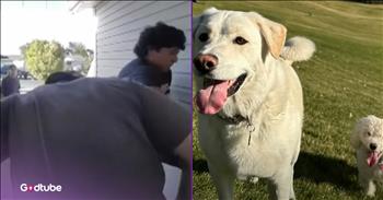 <p>A handful of brave neighbors rushed into a burning house to rescue a pair of dogs. The heroic gentlemen risked their lives when they entered the engulfed residence to find and rescue the animals. Watch the short but jaw-dropping video to learn about and see their heroic deed.</p>

<p>Emergencies do happen in life. Unfortunately, they are impossible to plan for or predict. But I guess that&rsquo;s why they are emergencies, always catching people off guard and usually at the worst possible moment. The best we can do and hope for is to be prepared and know what to do in the event of a crisis.</p>

<p>However, one can practice, plan and prepare for emergencies of all kinds, shapes and forms. While it&rsquo;s good to be ready and equipped with the knowledge of what to do, where and when if a disaster were to strike, we can never be sure how we&rsquo;d react until we&rsquo;re put in that situation. We&rsquo;d all like to believe we&rsquo;d act heroically and not freeze up when quick, decisive action is needed. Acting heroically, quickly and decisively is precisely what a group of men did when they spotted a neighbor&rsquo;s house on fire.</p>

<p>In the <a href="https://www.youtube.com/watch?v=1AgkMaMs_Uo">video posted on YouTube</a>, the men are captured attempting to bust their neighbor&rsquo;s front door in because they fear that they are still in the burning house. While trying to barge into the residence, the men are informed that a dog is inside the engulfed structure. Once they get the door busted down, they all dart into the house, and soon after entering, they remerge with the canines.</p>

<p>Those heroes got those canines and themselves out of the house just in time. One of the men, who assisted with the courageous rescue said that about 30 seconds to a minute later, the rest of the house was essentially gone, burnt up in the fire.</p>

<p><em><strong><a href="https://www.godtube.com/bible/psalms/82-3">Psalm 82:3</a></strong> &ldquo;Give ear to the cause of the poor and the children without fathers; let those who are troubled and in need have their rights.&rdquo;</em></p>
