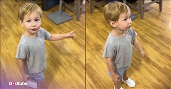 <p>A 2-year-old showed off his incredible and awe-inspiring knowledge of birds. The young man demonstrated a surprising familiarity with a couple of large-winged creatures. Watch the short but jaw-dropping clip to see and hear what the little guy said when he came across a plastic display of a large bird.</p>

<p>Children are much smarter than many people want to admit. Their brains are growing and constantly absorbing information. A good way to describe them is like sponges, soaking up things said and done around them. So, knowing that, it's critically important to start children off on the right foot. Giving them avenues to learn and explore is crucial.</p>

<p>Additionally, whether we know it or not, children are always listening and watching. Even if we don't see them, their little eyes and ears are open, taking in everything they see and hear. Act a certain way, and your child will imitate that motion or activity. Talk in a particular manner or say an unflattering or profane word; you'd better believe your child or grandchild will hear and repeat that language.</p>

<p><a href="https://www.tiktok.com/@mcastromusic/video/7526578083009236237">A clip posted on social media</a> captures and showcases children's intelligence and their ability to absorb information, even at shockingly young ages. The video begins with a 2-year-old in a store who has just stopped because he spotted something that caught his attention. The little guy is intrigued by a large plastic bird. He then begins to talk about what he's looking at, with surprising clarity and confidence.</p>

<p>"They look like, they look like egrets," the child says, pointing toward the plastic birds. "But they're actually, they're actually pelicans."</p>

<p>The camera pans over and reveals that the young man is 100 percent correct. The animals that he named are, in fact, pelicans. The child's knowledge about birds blows the man holding the camera away. He cannot believe what he has just heard.</p>

<p>"Big guy, who taught you this?" the man asks.</p>

<p><em><strong><a href="https://www.godtube.com/bible/proverbs/22-6">Proverbs 22:6</a></strong> "If a child is trained up in the right way, even when he is old, he will not be turned away from it."</em></p>
