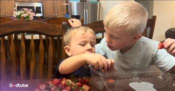 <p>These little ones&rsquo; joy over strawberries will brighten your day. It&rsquo;s clear they enjoy the taste of strawberries, as they devour an entire pile of them. Watch the short but adorable clip of these youngsters gobbling up a pile of the delicious fruit.</p>

<p>Most people enjoy fruit. How could you not? There are, without a doubt, some of the most delicious pieces of food. Even if you&rsquo;re not the biggest fruit lover in the world, there are so many of them that there is bound to be something you&rsquo;ll like.</p>

<p>Not only are there tons of different fruits, but they are also incredibly versatile. They can be cooked this way or that, put in this dish or that dish or just eaten plain and raw. Personally, I believe it doesn&rsquo;t get any better than cantaloupe, watermelon and pineapple (I even enjoy it on my pizza!). They are good no matter how they are cooked or what they are put in.</p>

<p>In <a href="https://www.youtube.com/watch?v=ju_VB1P9m88">a clip posted on YouTube</a>, some children find themselves in front of a pile of strawberries, and, hilariously, they do not last long. The kids get to work on those sweet, tasty pieces of fruit. Soon, all that is left are the tops, the part with the leaves.</p>

<p>As much as both young men enjoyed chowing down on the pieces of fruit, it appeared that the youngest one ate the most. In the funniest part of the entire one-minute clip, the older of the two children comes across one last uneaten strawberry. He asks a question that gets a quick and decisive answer.</p>

<p>&ldquo;Hank, do you want me or you to eat this last one?&rdquo; the young man asks his younger sibling.</p>

<p>&ldquo;Me,&rdquo; the little guy says as he reaches for the last strawberry.</p>

<p>What an adorable and hilarious clip!</p>

<p><em><strong><a href="https://www.godtube.com/bible/john/15-16">John 15:16</a></strong> &ldquo;You did not take me for yourselves, but I took you for myself; and I gave you the work of going about and producing fruit which will be forever; so that whatever request you make to the Father in my name he may give it to you.&rdquo;</em></p>
