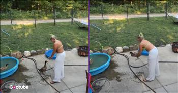 <p>You won&rsquo;t believe what this duck loves, and it&rsquo;s absolutely adorable. Surprisingly, the cute, winged creature cannot get enough of this one specific activity. Watch the short but hilarious clip to see what this adorable duck cannot get enough of that will have you laughing long after the cute clip comes to an end.&nbsp;</p>

<p>Animals are undoubtedly some of the best things about living on Earth. That statement will surely receive near wholehearted agreement, even in today&rsquo;s highly polarized and divisive times. Even those who would not consider themselves animal lovers will likely have difficulty disagreeing with that statement. How can you not love and adore animals?</p>

<p>One of the big reasons why we love animals so much is that, like people, they are all individuals. Yes, many of them might look similar, but they all have their own distinct personalities, which every pet owner knows well. They have their own likes, dislikes, tastes and preferences. When it comes to likes, you&rsquo;ll never believe what this duck loves, and seemingly cannot get enough of.</p>

<p><a href="https://www.youtube.com/watch?v=63WxlhnLS-g">In the short clip posted on YouTube</a>, a woman is outside with two ducks and a kiddie pool. The video begins with the woman leaning over, both hands on one of the ducks, preparing the animal for what is about to come.</p>

<p>&ldquo;Ready. Set. Wee!&rdquo; the woman says as she sends the duck through the air. The animal finishes its short trip through the air with a splash landing in the miniature pool.</p>

<p>But if you were to have guessed that the animal would have hated its toss into the air and landing in the pool, you would have been incredibly and entirely wrong. Once the animal lands, it quickly hops out of the pool and waddles back to the woman for another toss into the pool. It does this constantly, and it&rsquo;s absolutely hilarious and beyond adorable!</p>

<p><em><strong><a href="https://www.godtube.com/bible/genesis/1-21">Genesis 1:21</a></strong> &ldquo;And God created great whales, and every living creature that moves, which the waters brought forth abundantly, after their kind, and every winged fowl after his kind: and God saw that it was good.&rdquo;</em></p>
