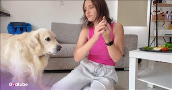 <p>This dog shocked everyone by eagerly eating this unexpected food. This pup was obviously hungry, quickly gobbling up nearly everything presented to it, including this surprising item. Watch the short but hilarious clip to see the beautiful golden retriever scarf down almost an entire plate full of food, which also includes a vegetable that many people avoid.</p>

<p>We are all different. We are all individuals, not mere duplicates or carbon copies of one another. No two people are created entirely, 100 percent the same. Of course, this means we all have our own unique set of likes, dislikes, tastes and preferences.</p>

<p>One of the ways in which these differences are most easily observed is in the foods we prefer and those we avoid at all costs. For instance, I cannot and will not eat anything that contains cheese. I understand that&rsquo;s rather odd, unheard of and in some people&rsquo;s eyes, not liking cheese might be considered a sin. But hey, I&rsquo;m an individual and so are you, right? &nbsp;</p>

<p><a href="https://www.youtube.com/watch?v=pl9A2pId0IE">A clip posted on YouTube</a> illustrates that not only do human taste buds differ, but those of animals do as well. A golden retriever was presented with a plate containing a variety of food, everything from lunch meat to vegetables. The results were hysterical and shocking.</p>

<p>As you could expect, the dog, whenever it was presented with a piece of meat, gobbled it down, nearly taking the young woman&rsquo;s fingers as well. That, of course, is how someone would expect a pup to respond to meat. But when it was offered broccoli, it acted similarly.</p>

<p>The woman held the vegetable up to the pup and it quickly chomped through the stem of the broccoli with ease and excitement. It could not get enough of the vegetable. The only thing the dog refused to eat was parsley, which I cannot blame him for.</p>

<p>When a dog eats broccoli, you know it&rsquo;s not a picky eater. Many people refuse to eat broccoli.</p>

<p><em><strong><a href="https://www.godtube.com/bible/genesis/1-21">Genesis 1:21</a></strong> &ldquo;And God created great whales, and every living creature that moves, which the waters brought forth abundantly, after their kind, and every winged fowl after his kind: and God saw that it was good.&rdquo;</em></p>
