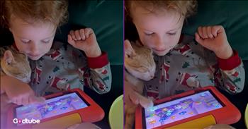 <p>This precious moment between a little boy and his cat will warm your heart. This will surely be the sweetest thing you see all day; guaranteed that nothing will top it. Watch the short but tear-jerking clip to see the utterly heartwarming moment the two buddies shared.</p>

<p>Is there anyone who does not like animals? Is there a person who would give voice to that opinion? Even if people thought or felt that way, no one would likely ever step forward and say it. Yes, everyone should be able to voice their opinion on any subject, but that doesn&rsquo;t mean that others will not think they are wrongheaded in their thinking. And that&rsquo;s precisely how everyone would feel and react to a person who said they did not like animals.</p>

<p>Honestly, how could someone say they don&rsquo;t like those cute, cuddly critters? They are some of the best creatures on Earth. Life is a much fuller and richer experience with a pet. They are an ever-present, loyal, loving friend who does not care who you are or what you&rsquo;ve done. As long as you treat them right, they&rsquo;ll return the favor.</p>

<p><a href="https://www.youtube.com/shorts/_3xLY0ov4PY">A clip posted on YouTube</a> captured a special, tear-jerking moment between two pals &ndash; a little boy and his cat. Of course, the cat, being a cat, is asleep in the youngster&rsquo;s arms. The young man holds the sleepy feline as he looks at a tablet. But instead of using his own hand and fingers to scroll through the tablet, he uses the little cat&rsquo;s paw. He does this action several times, and the cat is not bothered in the slightest. The feline is incredibly happy, entirely at peace in the youngster&rsquo;s arms, just enjoying yet another nap.</p>

<p>What a sweet sight! How can you not like cats and animals in general? Anyone who claims that they dislike animals is simply wrong.</p>

<p><em><strong><a href="https://www.godtube.com/bible/genesis/1-21">Genesis 1:21</a></strong> &ldquo;And God made great whales, and every living creature that moves, which the waters brought forth abundantly, after their kind, and every fowl after his kind: and God saw that it was good.&rdquo;</em></p>

