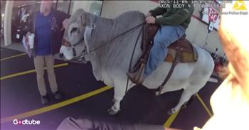 <p>This officer&rsquo;s reaction to an unusual call will brighten your day. He heard something quite odd come over the radio and went to investigate. Watch the short but hilarious clip to hear the call and how the officer responded once he arrived on the scene.</p>

<p>Law enforcement officers are heroes. They constantly and consistently put their personal safety, and in some cases, even their lives, at risk for others. When everyone else is running away from a disaster or an emergency, those brave men and women sprint in the opposite direction, heading toward that scene.</p>

<p>Members of law enforcement witness some truly disturbing things. They are often some of the first people whenever disaster strikes, whether that be a murder, a fatal vehicle collision or some other awful situation. They see it all, and yet they still are willing to put themselves in harm&rsquo;s way to protect you and me, and do it without even giving it a second thought. It&rsquo;s second nature for them to run directly to a scene where it&rsquo;s likely that what awaits them is going to stay with them for the rest of their lives. How many other people can say that?</p>

<p>Well, <a href="https://www.youtube.com/watch?v=qCDj8Qq9Ef0">a clip posted on YouTube</a> shows an officer not wasting any time when he heard an unusual call come over the radio. No, it was not for a murder or a deadly car crash, but for a bull in a store&rsquo;s parking lot. Yes, someone had reported the massive animal in a parking lot, and so, the officer was unsure what to expect when he arrived.</p>

<p>However, after getting to the scene and realizing that there was no danger whatsoever, the officer took some time to enjoy the moment. He even climbed on top of the animal and took a picture.</p>

<p>A bull in a parking lot isn&rsquo;t too bad, considering everything else that an officer could be called to while on duty.</p>

<p><em><strong><a href="https://www.godtube.com/bible/proverbs/12-10">Proverbs 12:10</a></strong> &ldquo;An upright man has thought for the life of his beast, but the hearts of evildoers are cruel.&rdquo;</em></p>
