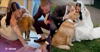 <p>You&rsquo;ll love how this couple involved their dog in their big day. The bride and groom took a unique approach and did something unconventional regarding the role their pup played on their wedding day. Watch the short but jaw-dropping clip to see what this couple did and how significant a role their canine played in their marriage ceremony.</p>

<p>People love their pets. What is not to love about those cute, cuddly and adorable critters? Wouldn&rsquo;t you seriously question the character of someone if they were to say they disliked all animals? What kind of personality defect does someone have to have for them actually to say that out loud, right? You would probably avoid them whenever possible.</p>

<p>Animals make life a fuller, richer and overall better experience. Their presence is enough to put a smile on many people&rsquo;s faces and better moods of, well, nearly everybody. People love their pets; that much is clear, and as we&rsquo;ve seen time and time again, individuals will go to some pretty extraordinary lengths to get them involved in just about everything. A clip posted on YouTube proves this to be the case once again.</p>

<p>Weddings are an important milestone for every couple. Of course, it&rsquo;s the day when the man and woman promise to remain with one another until death do them part. It&rsquo;s also the moment when a family is formed, when the two become one. However, before the ceremony even takes place, some legal matters must be attended to, such as the signing of the marriage certificate.</p>

<p>Well, the bride and groom did as they are legally required to do, but for their witness, they took a much different approach, <a href="https://www.youtube.com/watch?v=nRzy5rKuwyY">a four-legged and furry one</a>. This couple had their pup sign as their witness on their certificate. I&rsquo;m sure that&rsquo;s not in any way legal, but it&rsquo;s still pretty cute!</p>

<p><em><strong><a href="https://www.godtube.com/bible/genesis/1-21">Genesis 1:21</a></strong> &ldquo;And God created great whales, and every living creature that moves, which the waters brought forth abundantly, after their kind, and every winged fowl after his kind: and God saw that it was good.&rdquo;</em></p>
