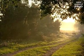 Lord,
Thank You for drawing me close tonight. I confess that I am the one who has wandered, not You. I long to return to the place of deep fellowship with You. Forgive me for the ways I have distanced myself and for trying to live in my own strength. Thank You that You have never left me, not for a moment. Make my heart sensitive again to the still, small voice of Your Holy Spirit. Draw me near, and help me stay close.
In Jesus’ name, Amen.