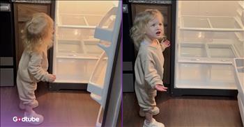 <p>A youngster had a hilariously unexpected reaction after seeing an empty fridge. Her hysterical, over-the-top response to the bare refrigerator will have you laughing long after the clip comes to an end. Watch the short and laugh-out-loud funny clip to see and hear how the young woman responded when she spotted the empty fridge.</p>

<p>Everyone enjoys eating, and sometimes that enjoyment can get a little out of hand. Since we are so blessed, overeating is a common occurrence, especially around the Thanksgiving holiday. When presented with such a vast array of delicious food, it becomes challenging to resist eating to our hearts&rsquo; and stomachs&rsquo; content.</p>

<p>Additionally, overeating is a common issue because often all it takes to satisfy our hunger is walking into the kitchen and opening the fridge. If we&rsquo;re hungry, all it takes is a few steps to fulfill that desire, but what would happen if the refrigerator were completely empty? How would you react and respond if all that food you thought you had somehow disappeared? Likely, after we got over our initial bewilderment and astonishment, we&rsquo;d be rather angry and upset.</p>

<p><a href="https://www.youtube.com/shorts/t5AjlnlqcdQ">In a clip posted on YouTube</a>, a little girl opens the fridge, expecting to see food, but is met with an awful surprise. Instead, she opens the appliance to reveal that the refrigerator is bare. There is not a morsel of food in sight. Of course, the fridge appears to be brand new, and it's likely that no one had told the child that a new fridge had just been purchased.</p>

<p>She reacted by yelling while in a state of distress and confusion.</p>

<p>&ldquo;There&rsquo;s no snacks!&rdquo; she mentions.</p>

<p>&ldquo;We just lost them!&rdquo; she adds.</p>

<p>The little one is obviously upset by the unexpected development, and we all might react similarly if we were to walk into the kitchen and find our fridges in the same state.</p>

<p><em><strong><a href="https://www.godtube.com/bible/psalms/127-3">Psalm 127:3</a></strong> &ldquo;Lo, children are a heritage of the Lord: and the fruit of the womb is his reward.&rdquo;</em></p>
