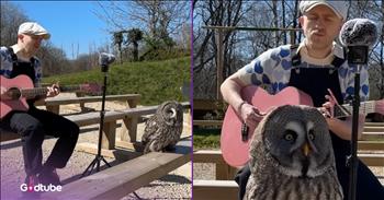 <p>Every once in a while, the internet gifts us a moment so tender and unexpected that it hushes the noise of the world for just a breath. And this one? Oh friend, this one might owl-ways stay with you. Watch as this owl adores a stunning &lsquo;Over The Rainbow&rsquo; rendition.&nbsp;</p>

<p>The musician at the center of the viral clip goes by the name <a href="https://www.youtube.com/shorts/eNdKwIO0t-I">Plume</a>&mdash;a gentle, soft-spoken guitarist with a gifted voice and an audience unlike any other. While most performers dream of bright stages and crowds, Plume chooses a quieter calling.&nbsp;</p>

<p>He sings to animals. Yes, animals. Giraffes stretch their long necks toward him as if trying to get closer to the melody. Tigers blink slowly, soaking in every note. Lemurs sway. Even bears seem softened by the warmth of his voice.</p>

<p>But one encounter has captured hearts around the world in a way that feels stitched straight out of God&rsquo;s own creation. The video begins with Plume sitting alone on a weathered park bench, guitar settling comfortably across his lap. But then you notice something different in terms of the audience.&nbsp;</p>

<p>That&rsquo;s when she arrives: an owl perched nearby, leaning forward with wide amber eyes and unmistakable curiosity. It&rsquo;s almost as if she&rsquo;s asking, &ldquo;Whoooo are you?&rdquo; Before acknowledging her, Plume begins to play &ldquo;Somewhere Over the Rainbow.&rdquo; And from the very first chord, this owl reacts in a way no one expected.</p>

<p>Her head swivels in every delightful direction&mdash;left, right, nearly upside-down&mdash;trying to catch every shimmering strand of music. The moment is adorable, mesmerizing, completely &ldquo;owl-dorable.&rdquo; And then it happens: the owl begins to sing.</p>

<p>She does so with the tiniest, sweetest peeps&mdash;soft little squeaks that fall right into the melody like she&rsquo;s harmonizing with him. Viewers across the internet were captivated. &ldquo;Music truly is a universal language,&rdquo; one commenter <a href="https://www.youtube.com/shorts/eNdKwIO0t-I">wrote</a>. Another added, &ldquo;She&rsquo;s singing with you. Incredible. Music heals all souls.&rdquo; Someone else noted with a laugh, &ldquo;The moment you stopped, she said, &lsquo;Okay, bye!&rsquo;&rdquo;</p>

<p>And honestly? Same, friend. Same.</p>

<p>When Plume strummed the final note, she lifted her wings and glided away as if the concert had ended right on cue. It was delicate, perfectly timed, and strangely profound.</p>

<p>Maybe that&rsquo;s why videos like this settle so deeply into us. In a world heavy with hurry, noise, and division, this tiny moment on a park bench offers a gentle truth: creation still sings. And sometimes, if we slow down long enough, it sings back.</p>

<p>God wove music into the world long before humanity had words for it. Birds harmonize at dawn. Whales compose underwater symphonies. And apparently, owls squeak along to classic melodies.&nbsp;</p>

<p>Watching Plume interact with wildlife reminds us that beauty still breaks into the ordinary. That God&rsquo;s creation is listening. That sometimes the sermon comes feathered, swiveling its head, offering small peeps of wonder.</p>

<p>Maybe that&rsquo;s the miracle.</p>

<p><em><strong><a href="https://www.godtube.com/bible/job/12-10">Job 12:10</a></strong> &ldquo;In his hand is the life of every creature and the breath of all mankind.&rdquo;&nbsp;</em></p>
