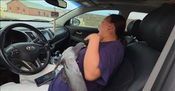 I Bring You Gift, His Name is Jeff